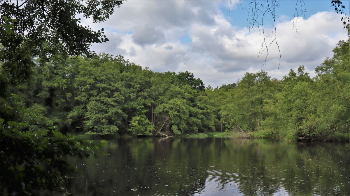 Dahlheimer Mühlenweiher