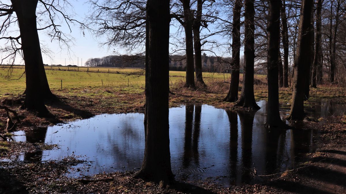 Am Waldrand beim Böscherhof