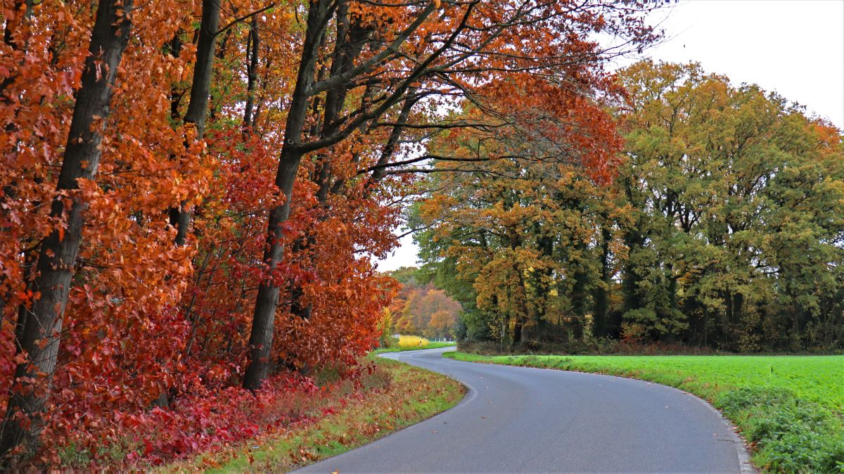 Arsbecker Straße bei Schmitzhof