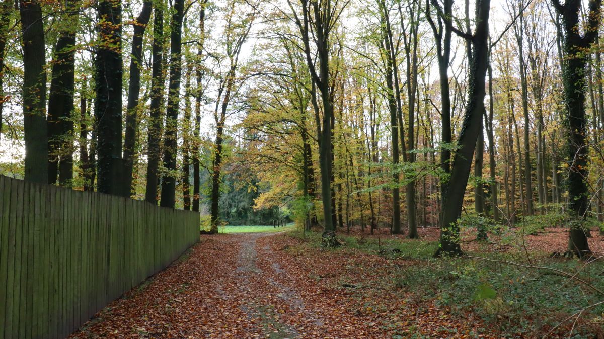 Weg an der Pappelter Mühle