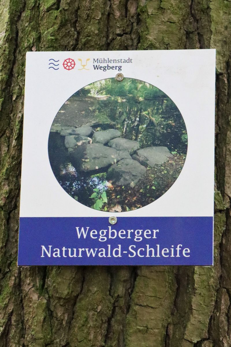 Wegberger Naturwald-Schleife