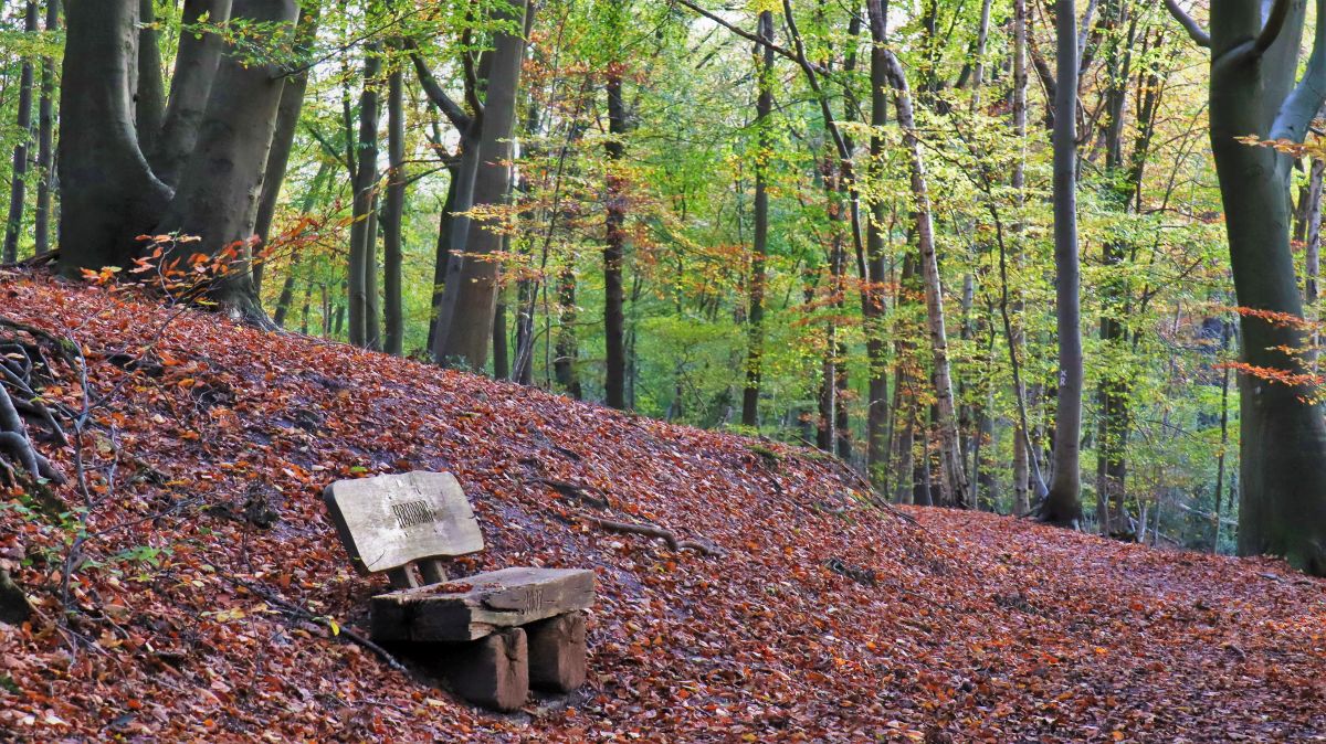 Bank am Heuberg