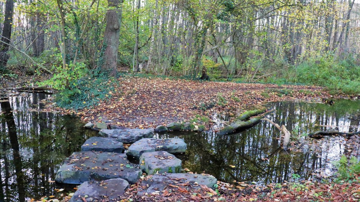 Trittsteine am Feltenberg