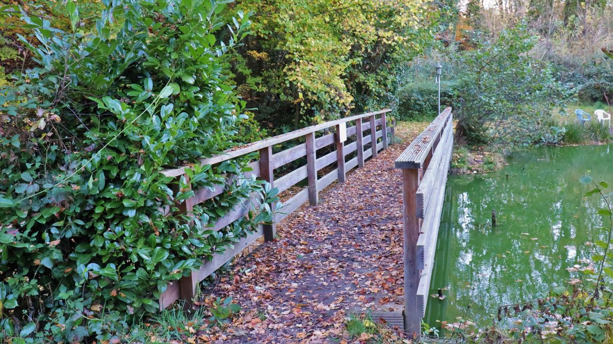 Brücke im Angelpark Molzmühle