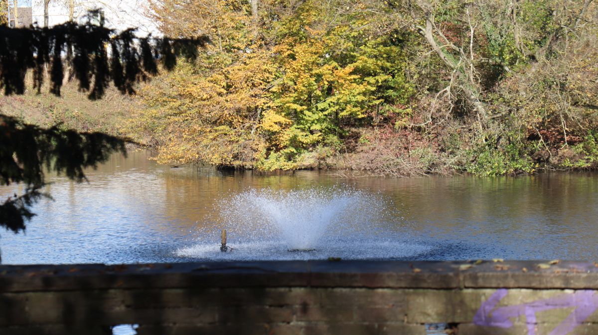 Ziegelweiher mit Fontäne