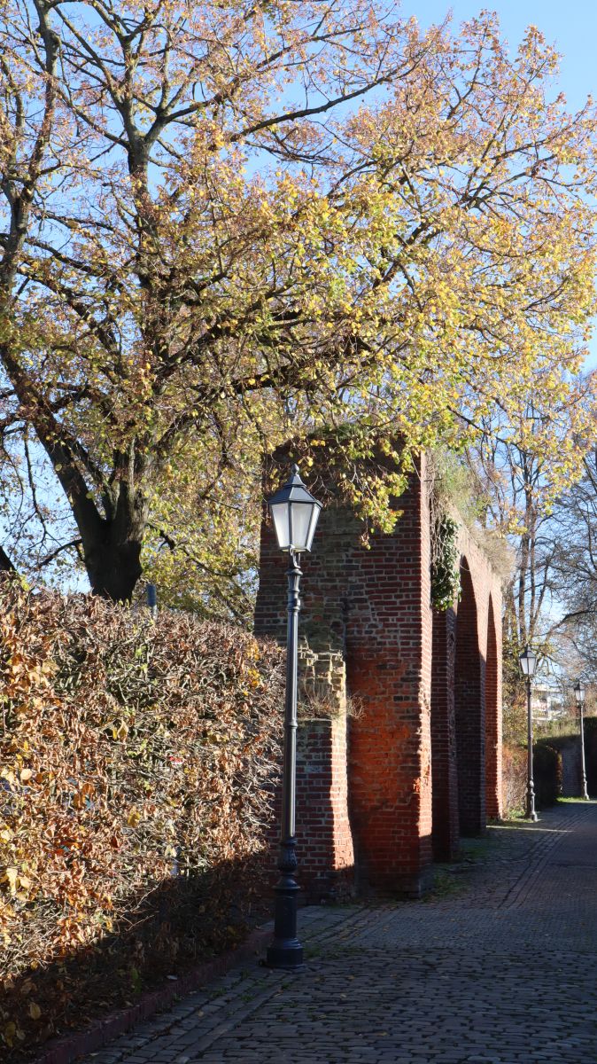 Stadtmauer an der Wallstraße