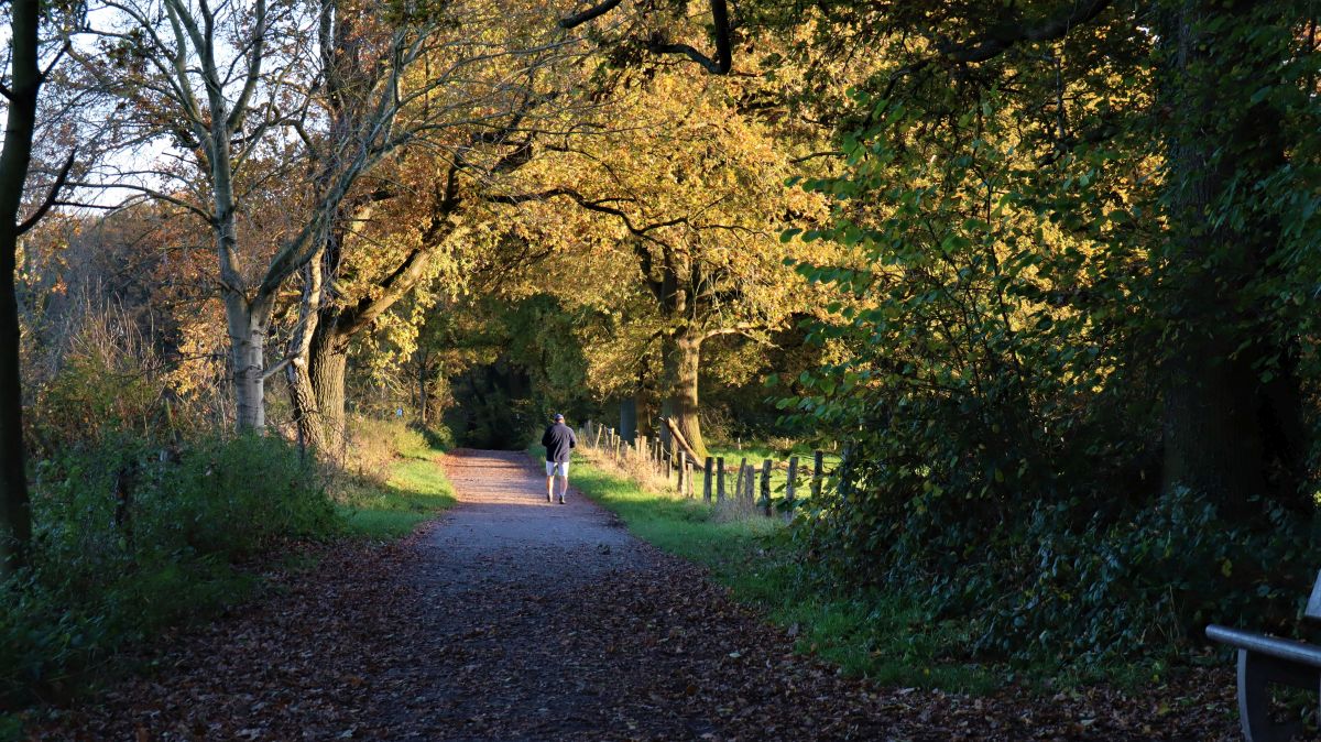 Wanderweg bei Laar