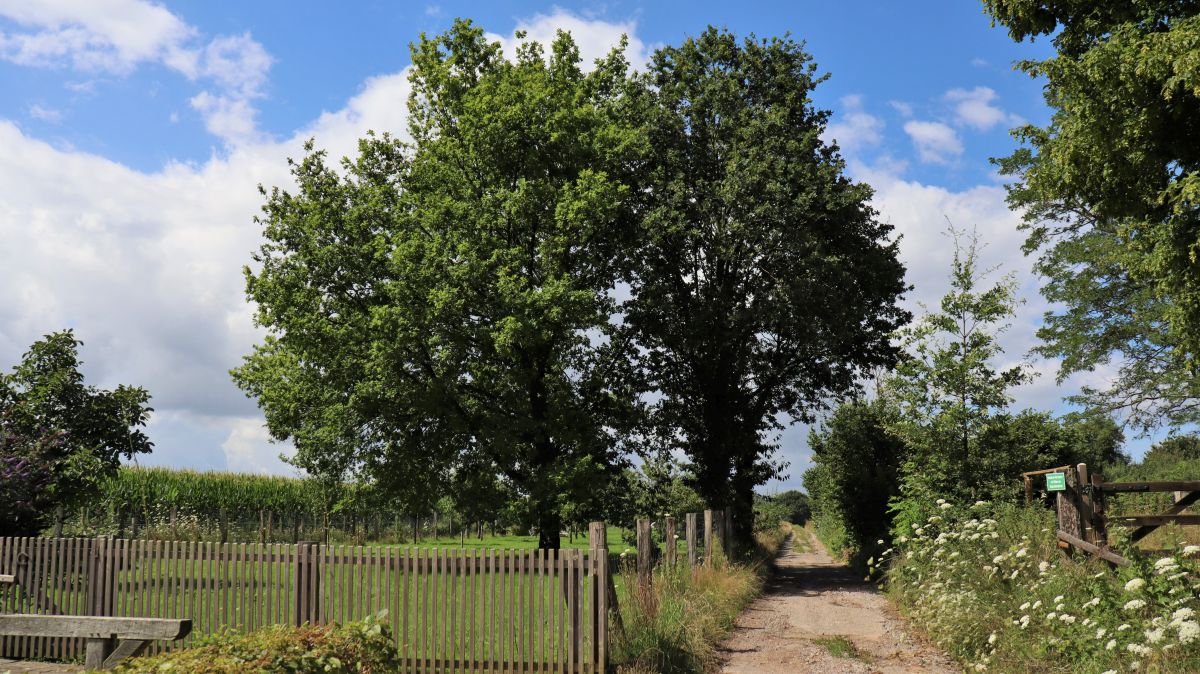 Weg ins Schwaamerfeld