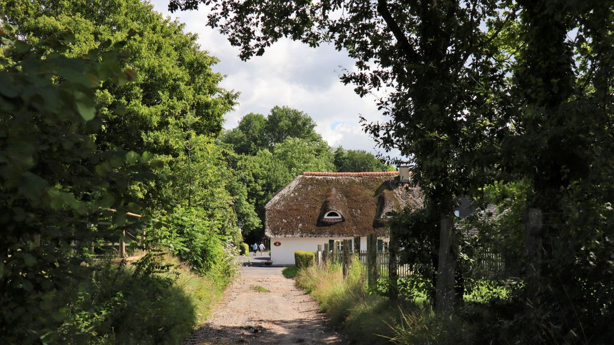 Reetdachhaus Schwaam