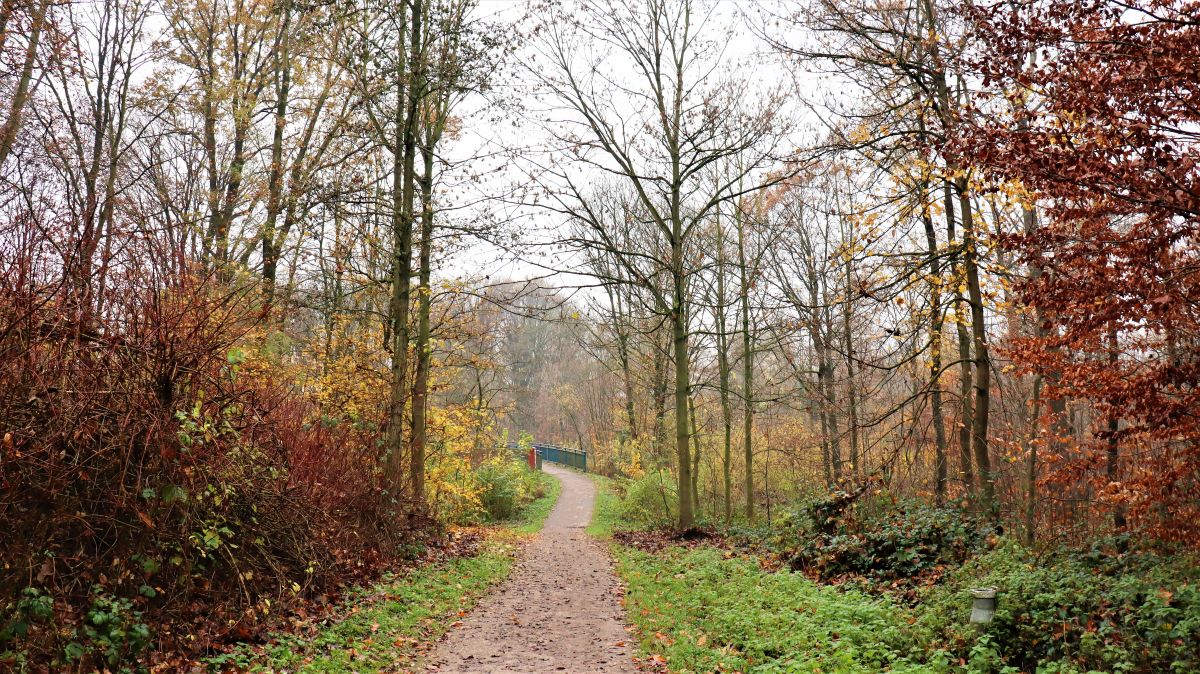 Weg zur Brücke über die A61