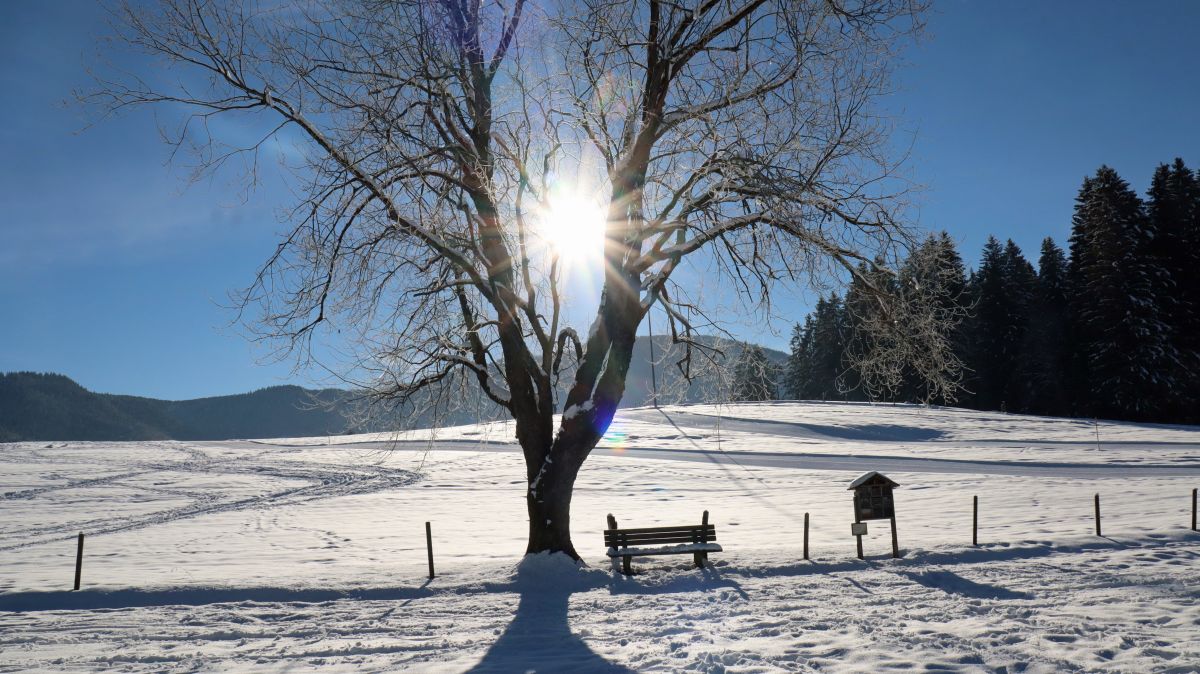 Winterpanorama