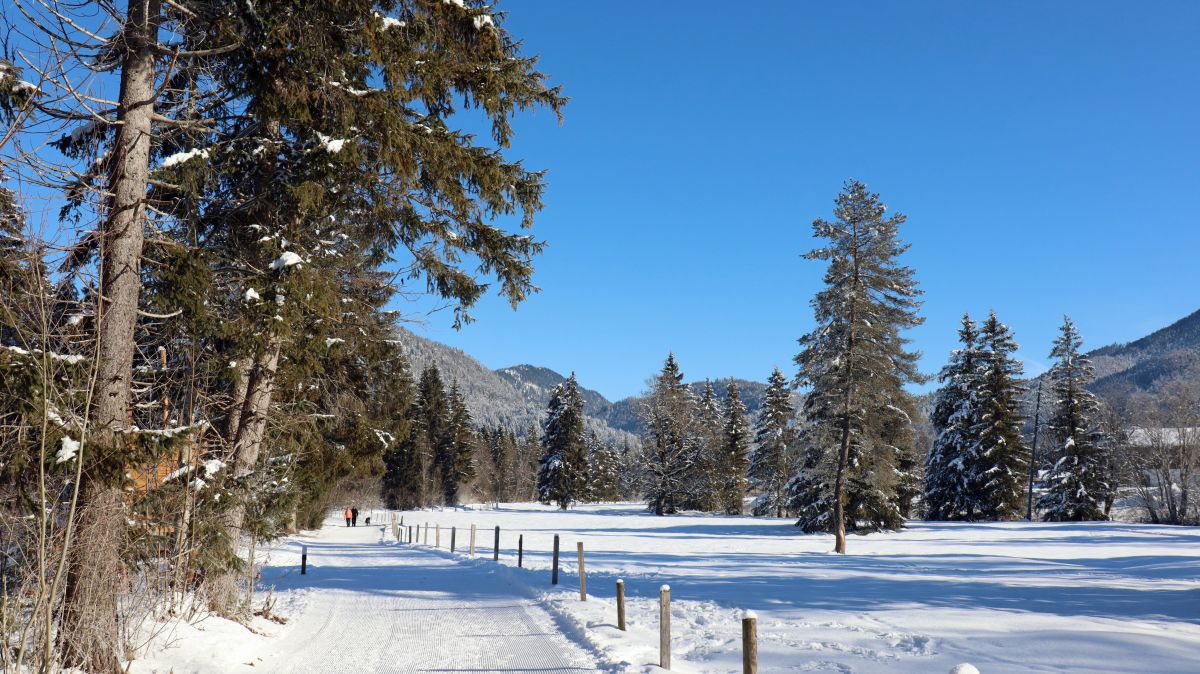 Winterwanderweg Kaiserblick