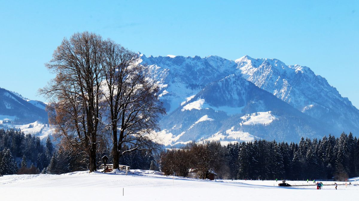 Kaiserblick - Zahmer Kaiser