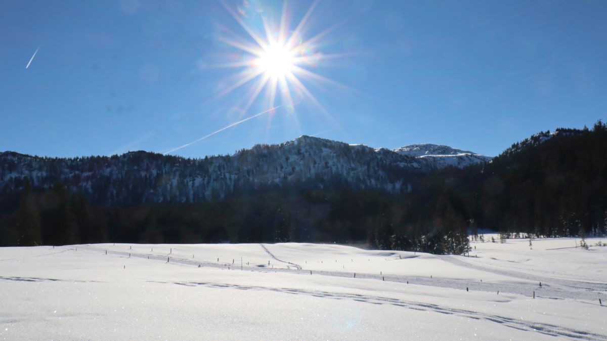 Blick über die Hemmersuppenalm