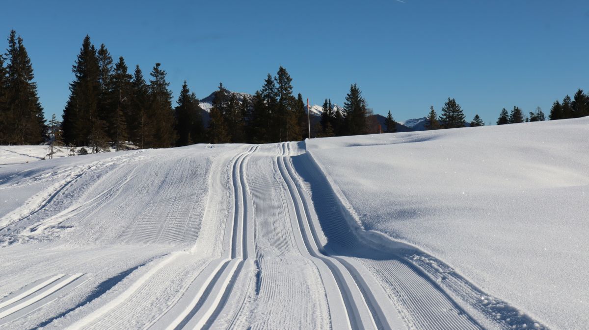 Loipe auf der Hemmersuppenalm