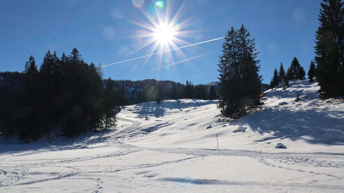 Panoramaweg Hemmersuppenalm