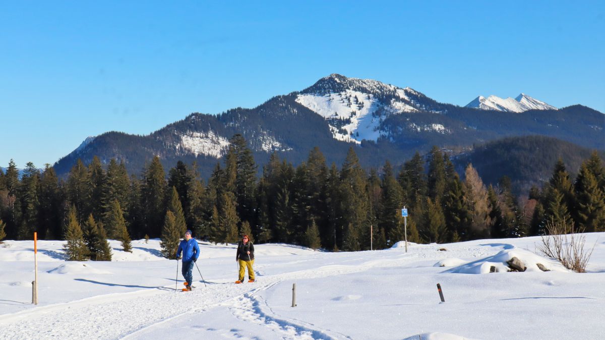 Schneeschuhwanderer auf dem Panoramaweg