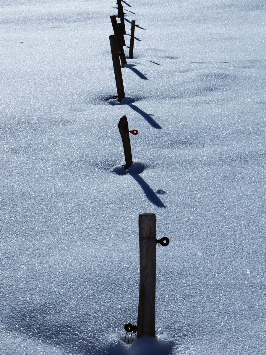 Zaunpfosten im Schnee