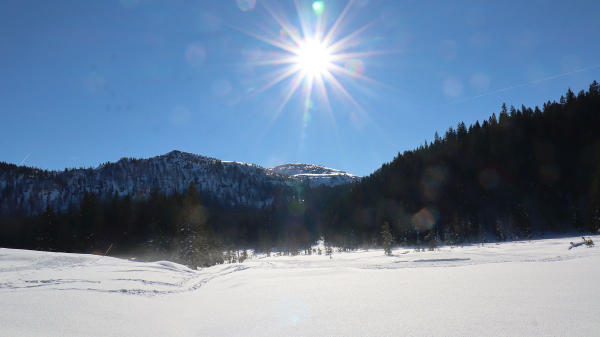 Blick von der Hemmersuppenalm zur Steinplatte