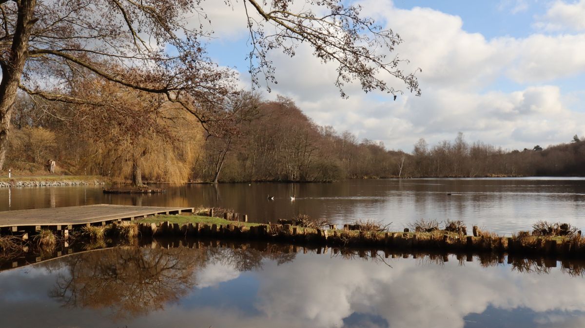 Holtmühlenweiher