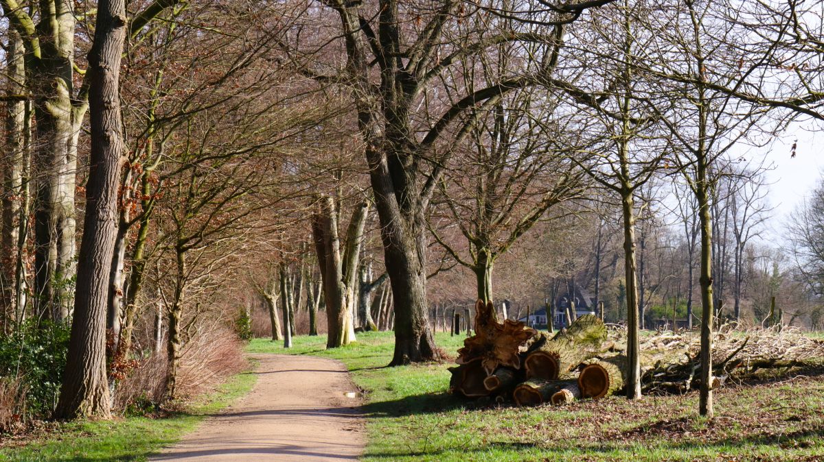 Allee am Linner Mühlenbach