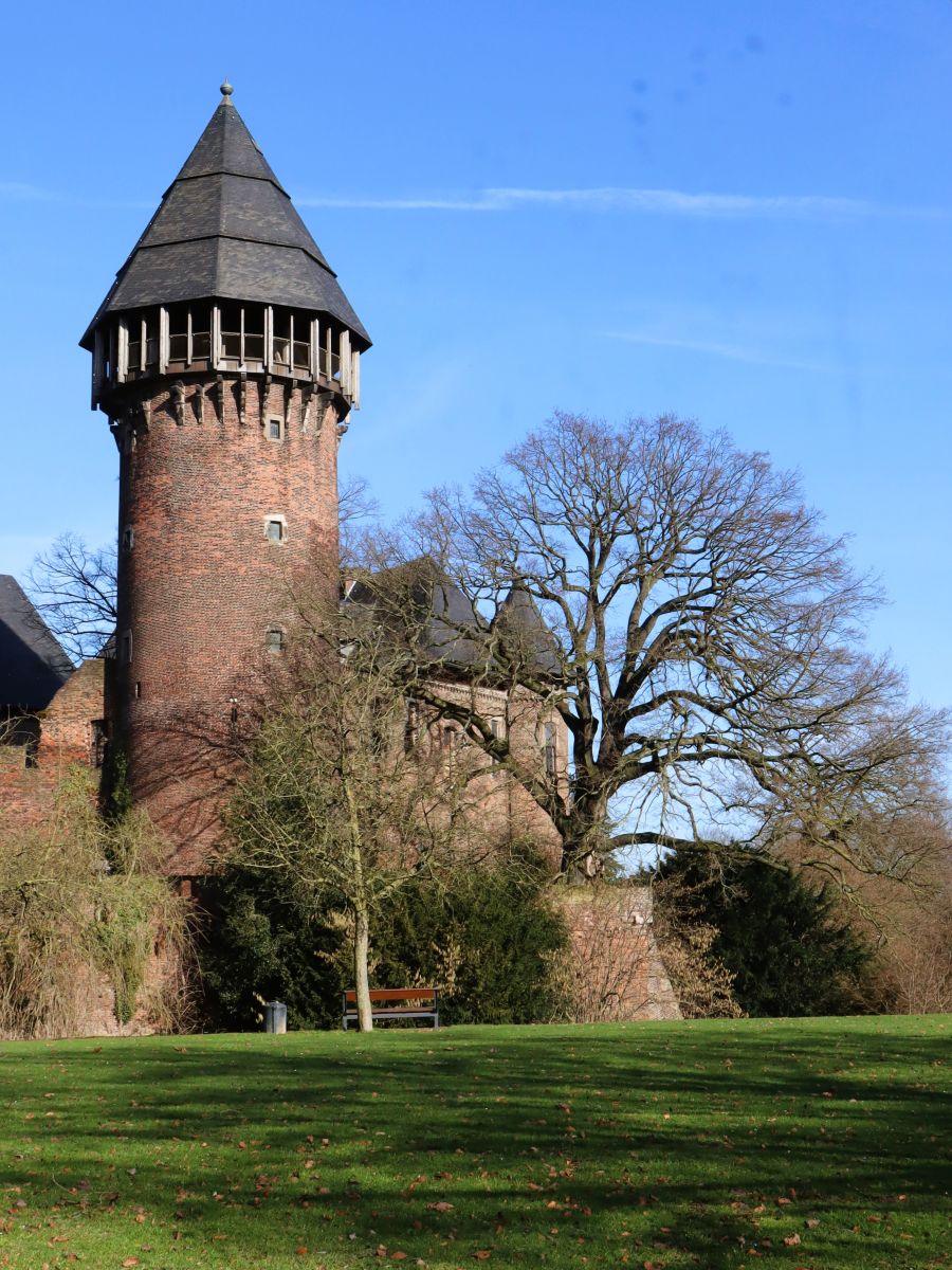 Turm Burg Linn mit markanter Eiche