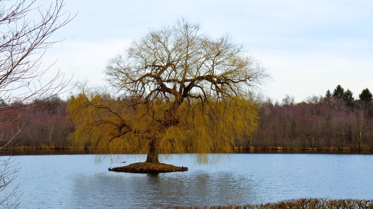 Holtmühlenweiher