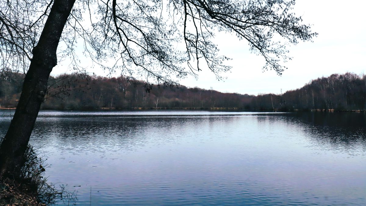 Holtmühlenweiher