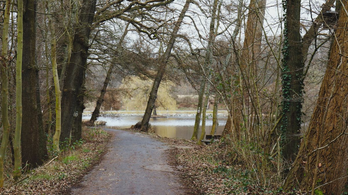 Holtmühlenweg