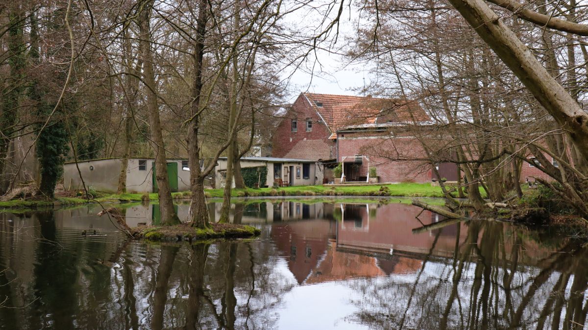 Weiher Gatzweilermühle (Vollmühle)