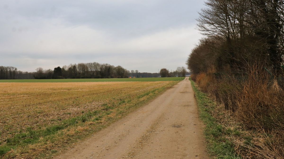 Im Feld bei Gatzweiler