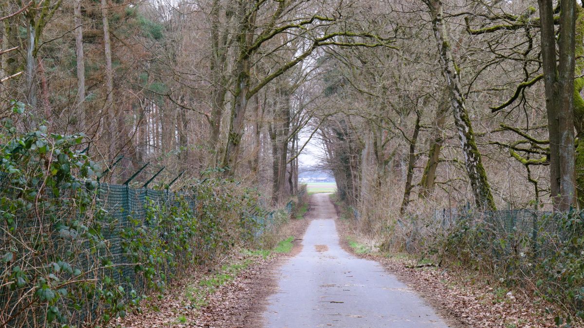 Dahlenerstraße am Hospital