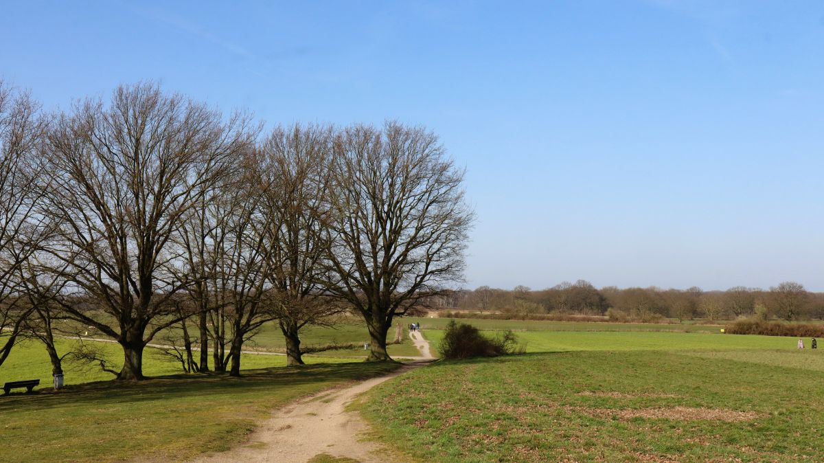 Blick in das NSG Egelsberg