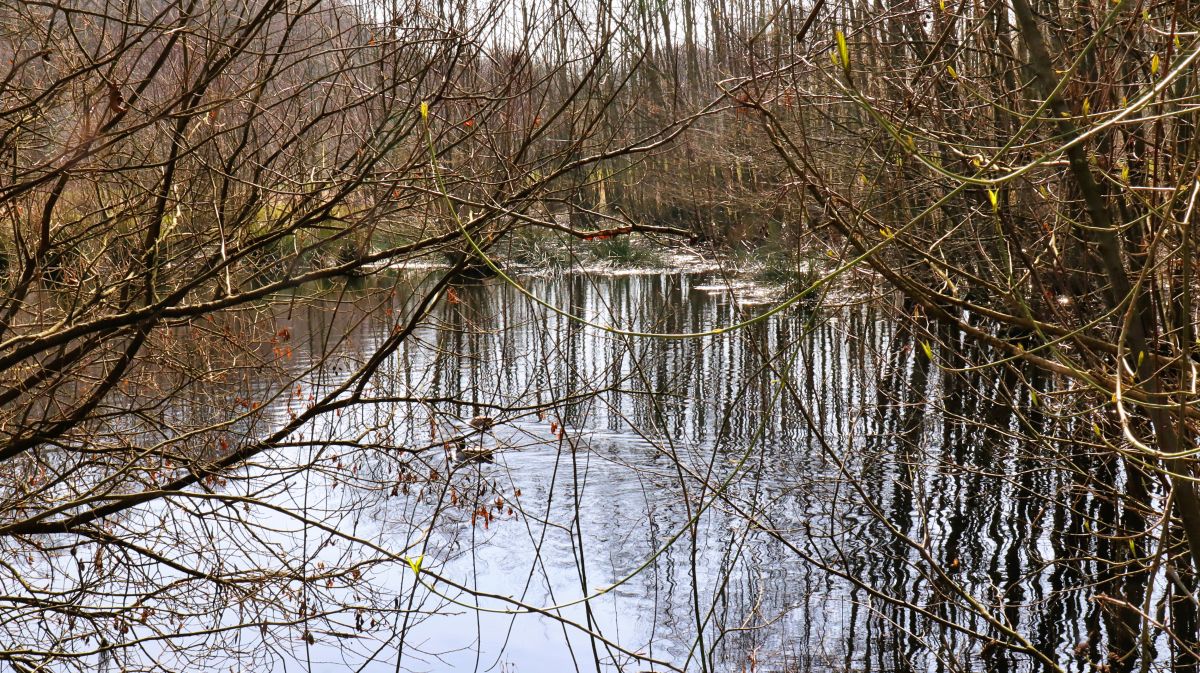 Weiher Nähe Kirschkamperhof