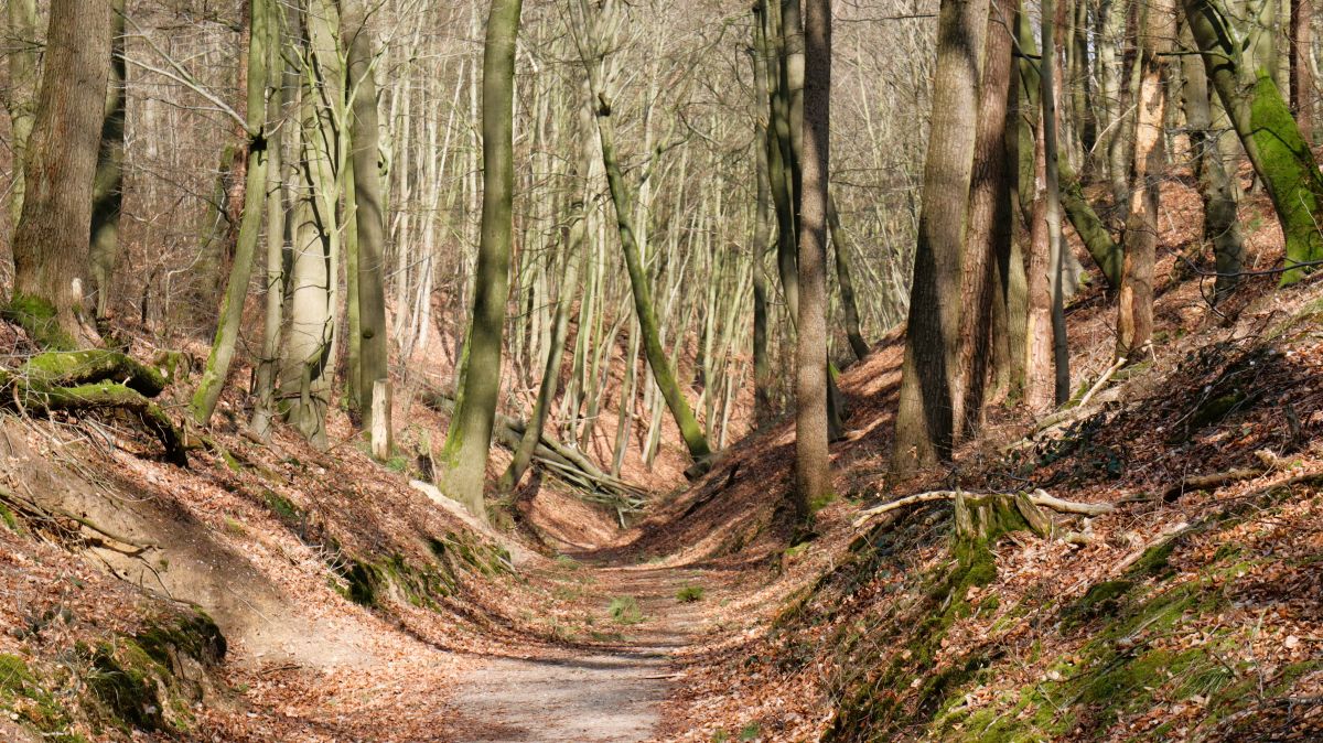 Adolfschlucht