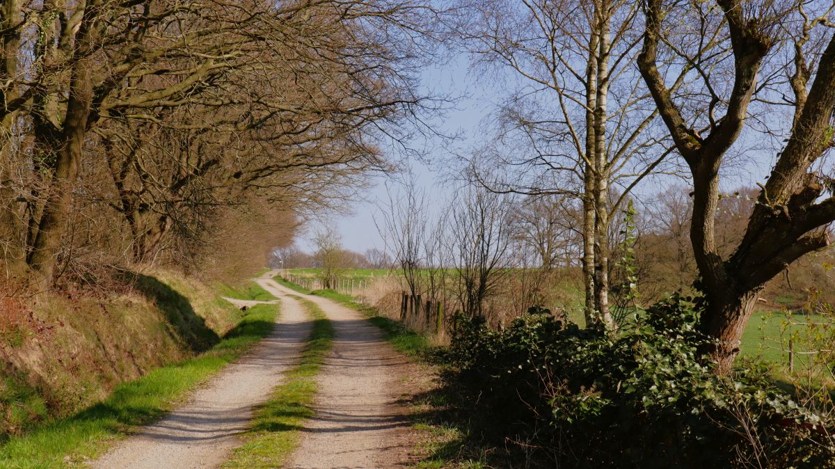 Weg oberhalb der Bergstraße