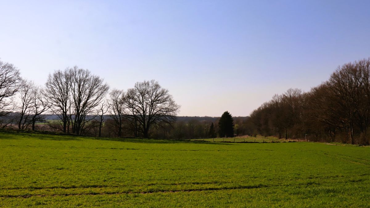 Blick Richtung Westen (Nato Airbase)