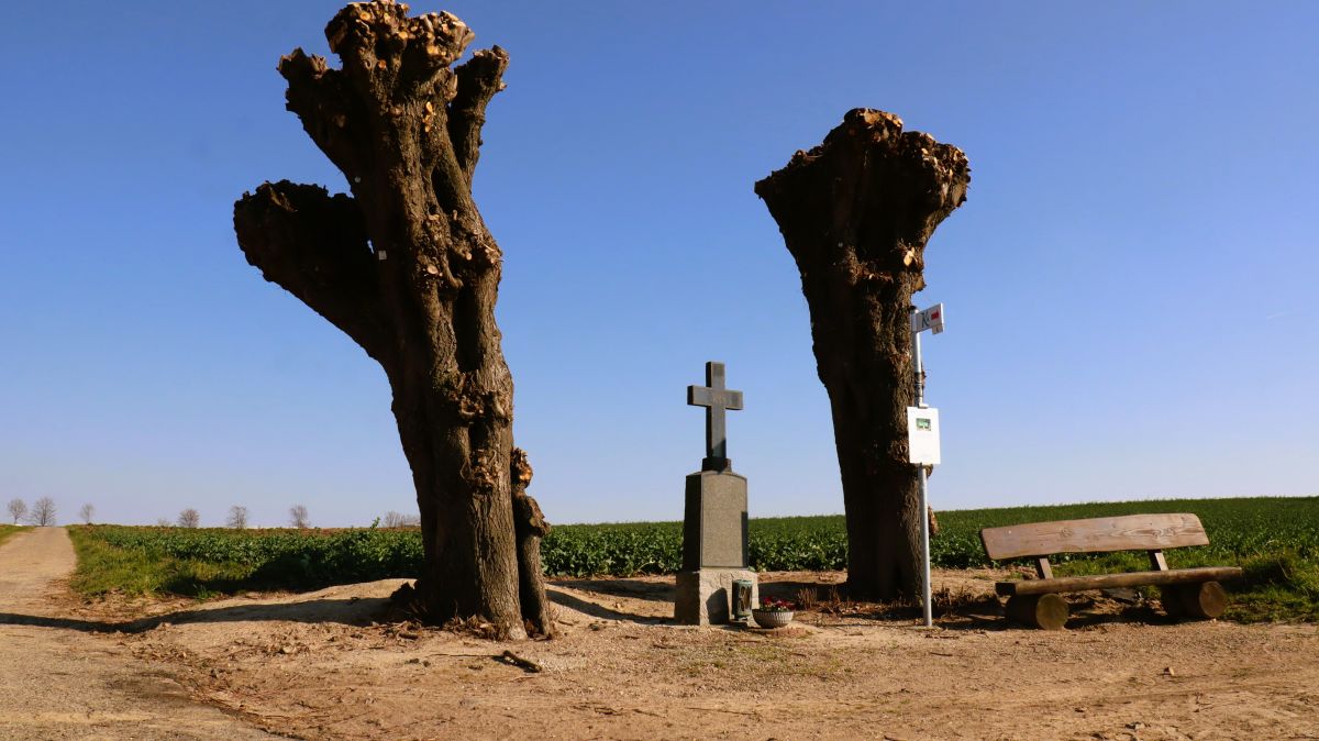 Wegkreuz "In der Dell"