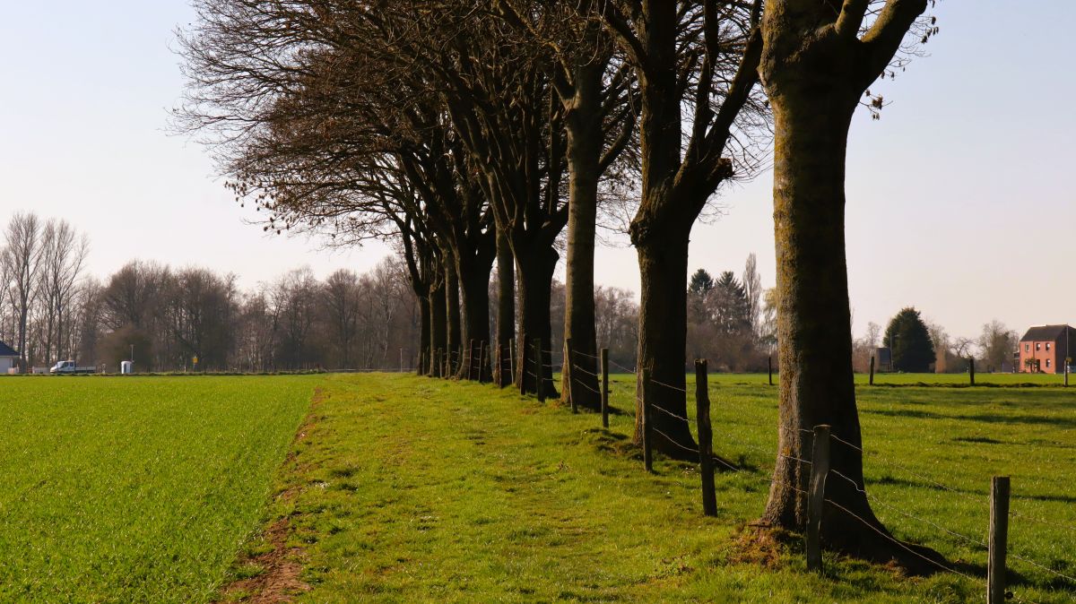 Weg Nähe Wegkreuz "Am Bach"