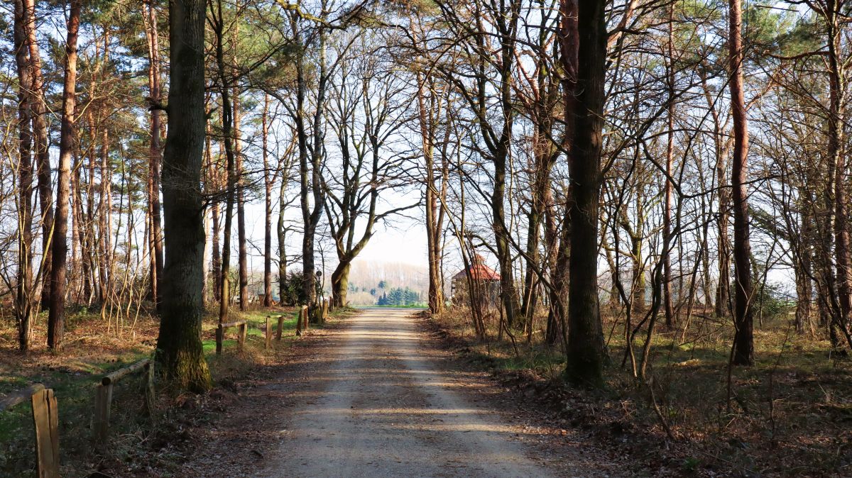 Waldweg an der Hubertuskapelle