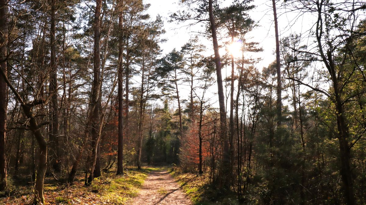 Auf der Erweiterung des Kapellenwanderwegs