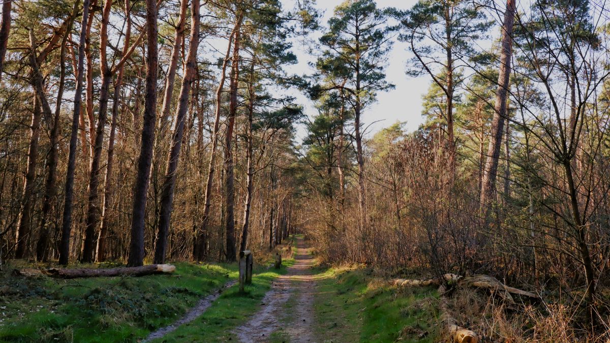 Kapellenwanderweg-Erweiterung