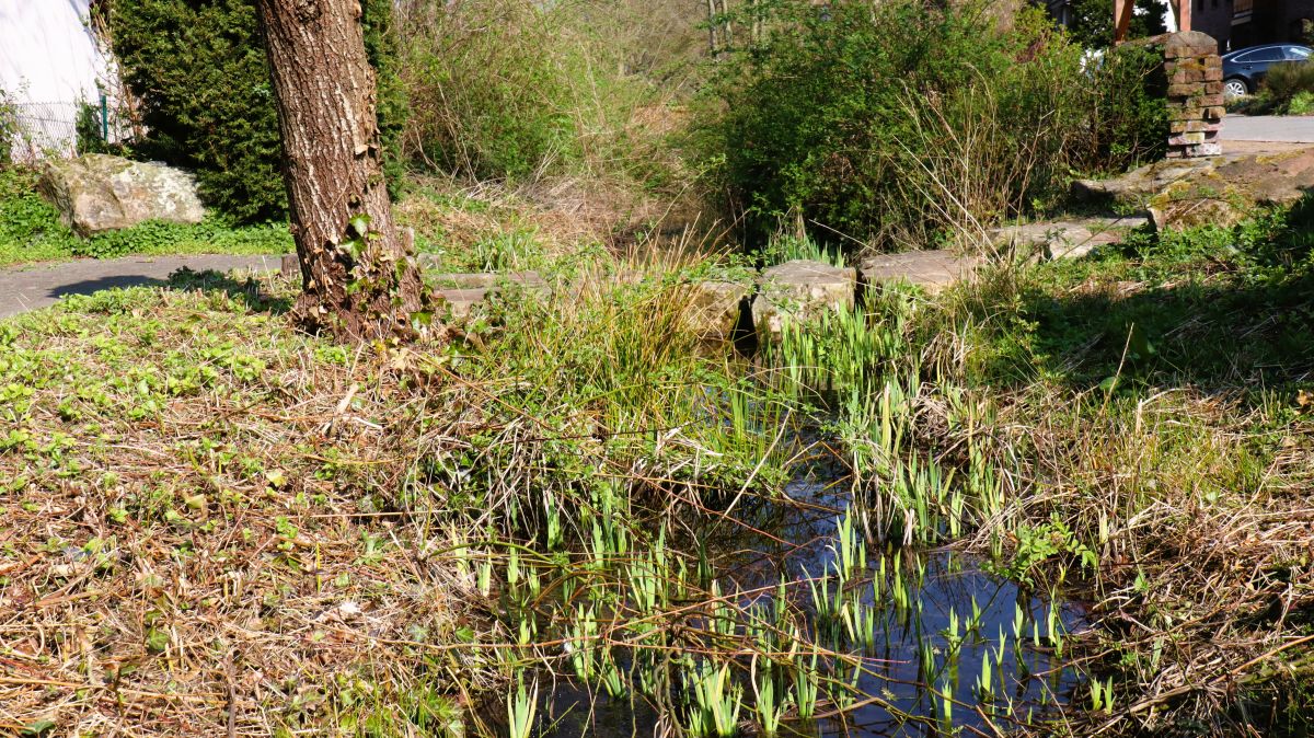 Wassergraben