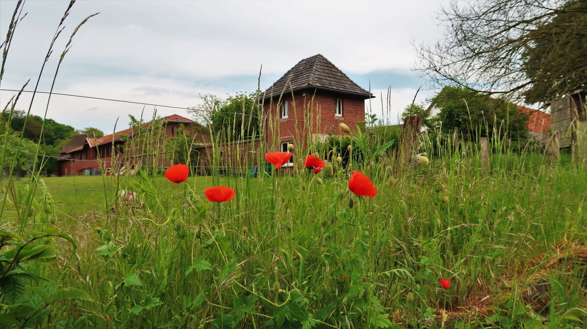 Haus der Natur