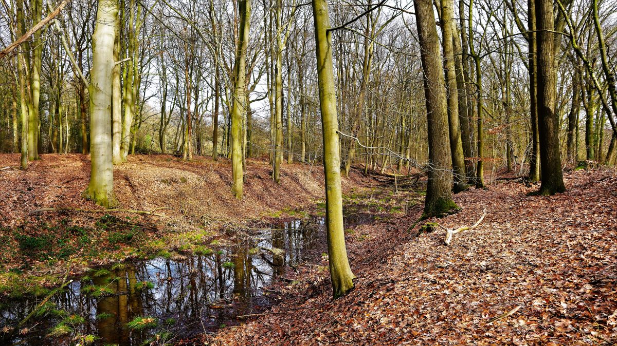 Alter Napoleonkanal