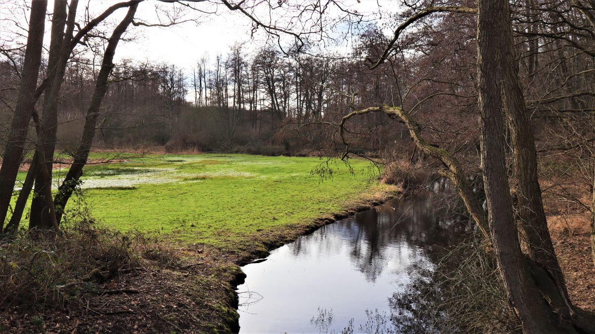 Nette an der Flootsmühle