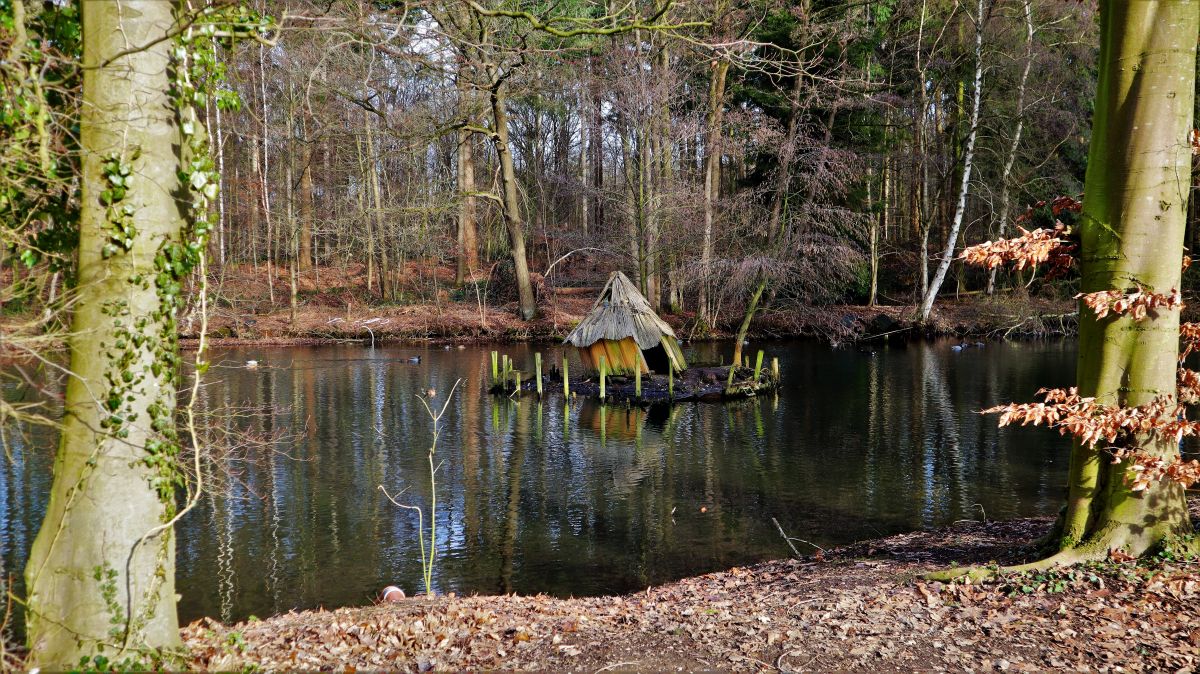 Teich am Haus Waldesruh