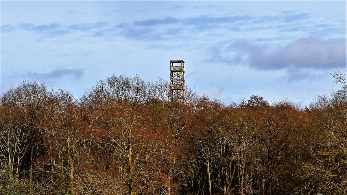 Aussichtsturm auf dem Taubenberg