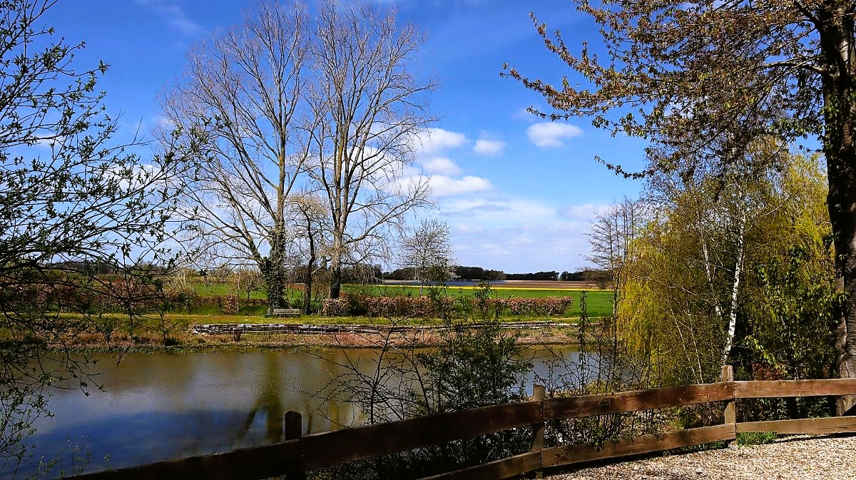 Kahnweiher Bolleberg