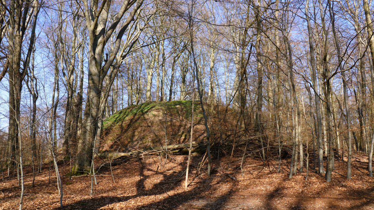 Motte Aldeberg